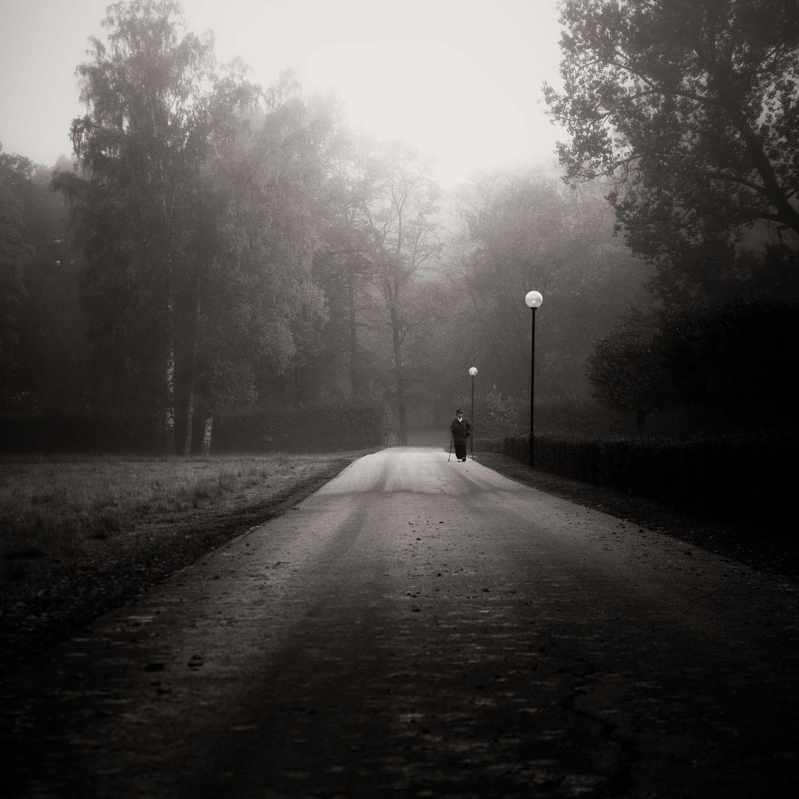 Capturing a solitary walk on a foggy Swedish street amidst trees and street lamps.